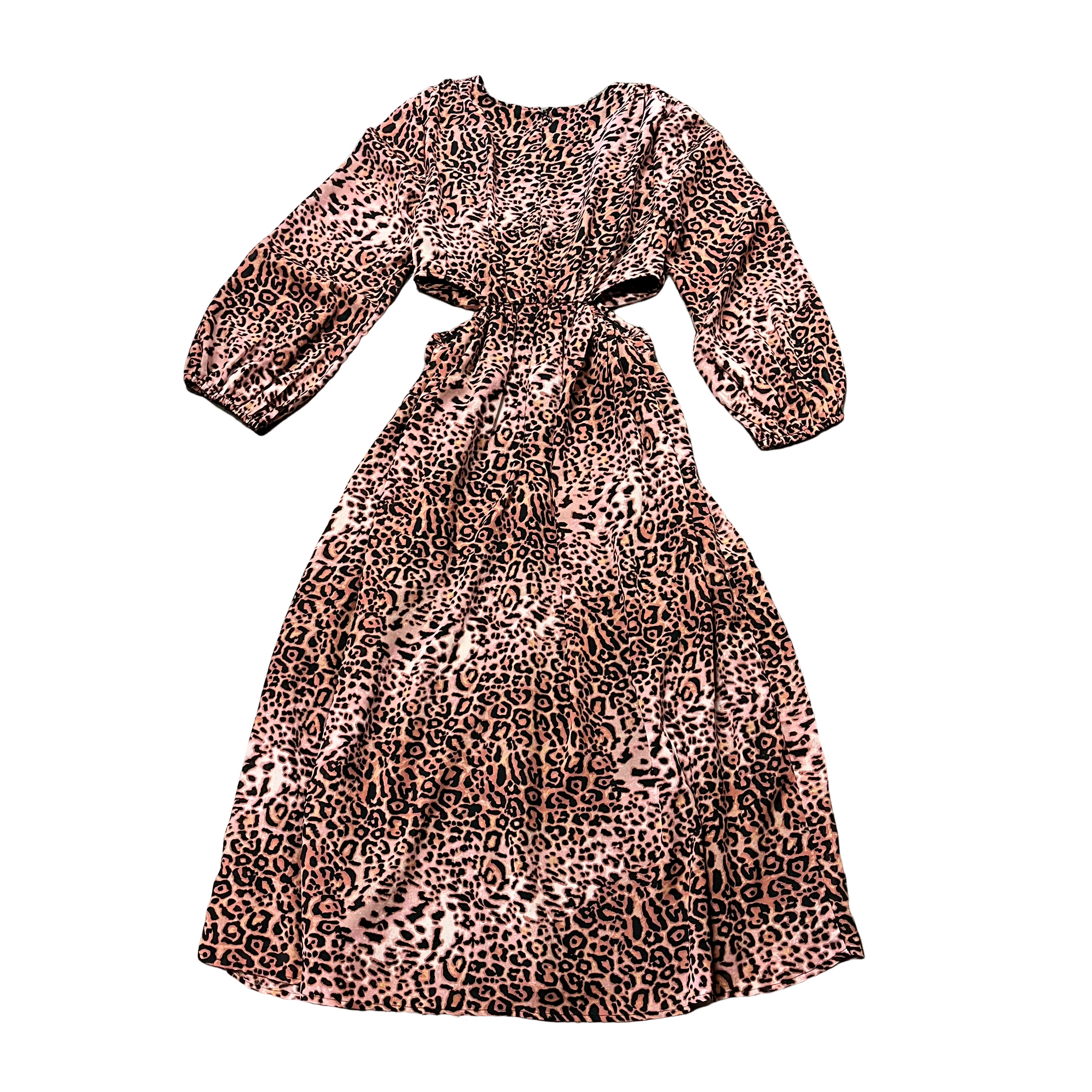 Ranna Gill Cheetah Print Dress