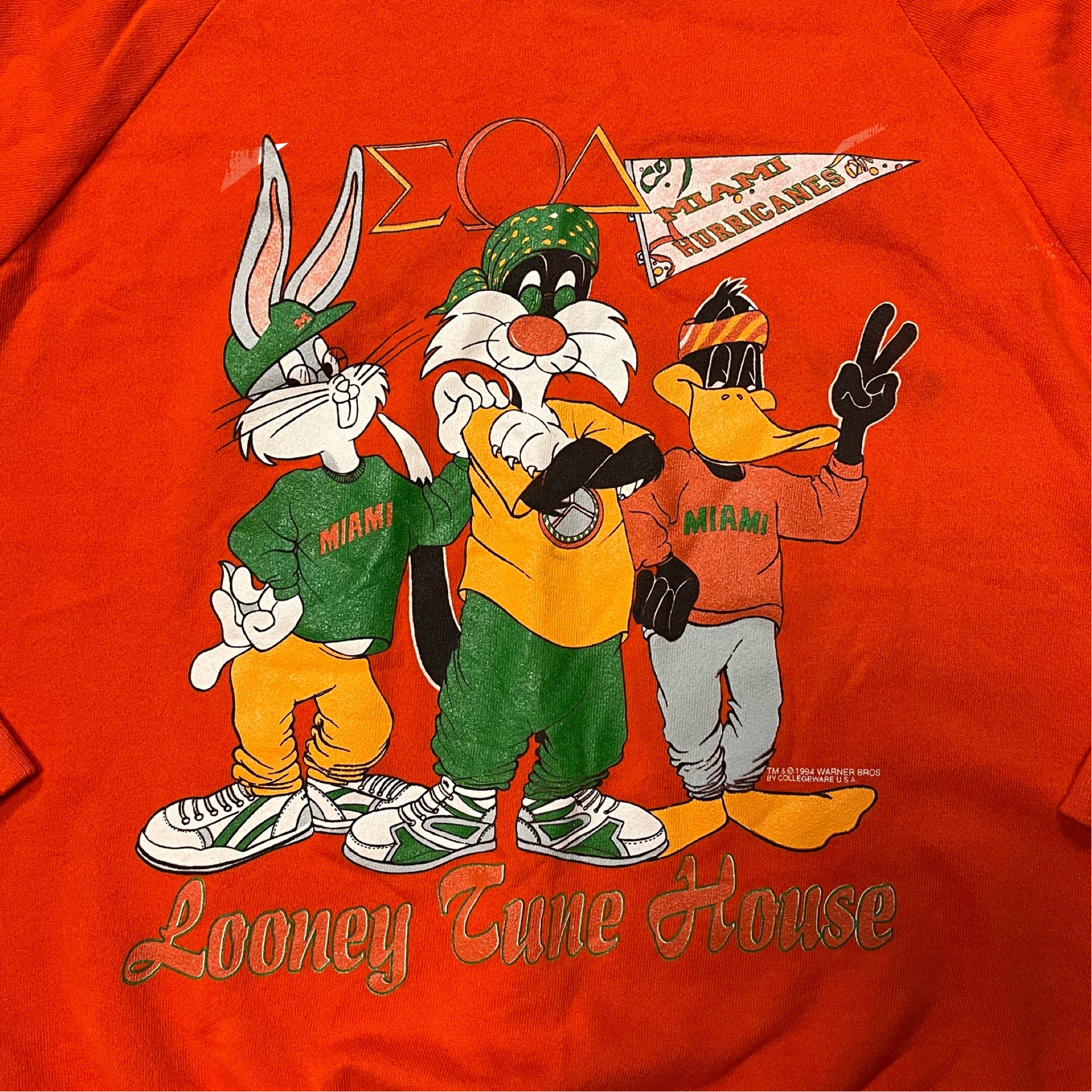 Vintage 1994 Looney Tunes House Miami Hurricanes Crewneck Sweater